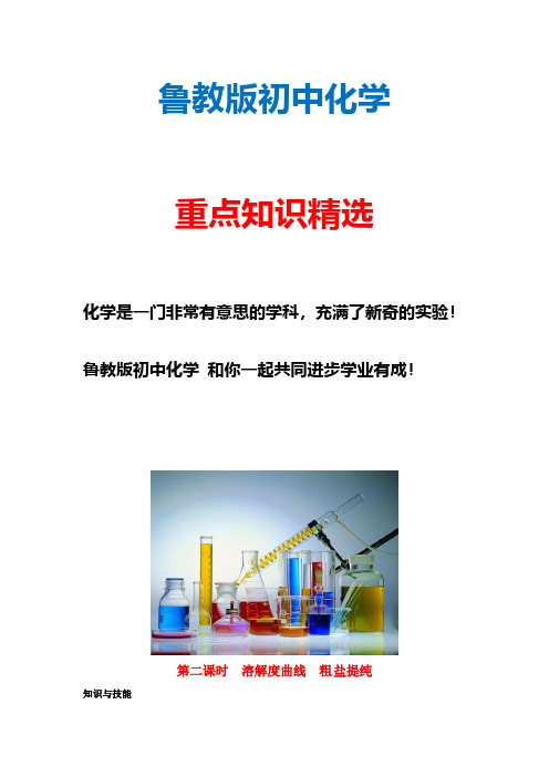 鲁教版初中化学五四制九年级全册《9.4到实验室去：粗盐中难溶性杂质的去除》教案 (1)