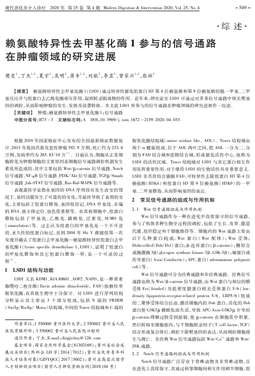 赖氨酸特异性去甲基化酶1参与的信号通路在肿瘤领域的研究进展