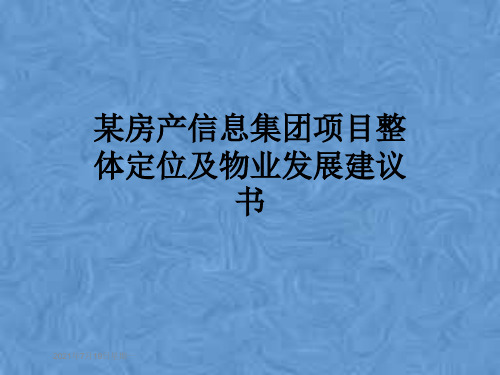 某房产信息集团项目整体定位及物业发展建议书