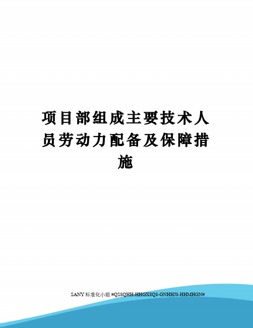 项目部组成主要技术人员劳动力配备及保障措施