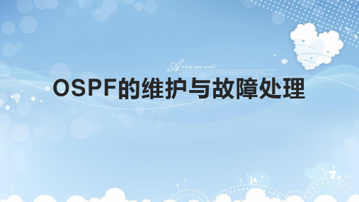 OSPF的维护与故障处理