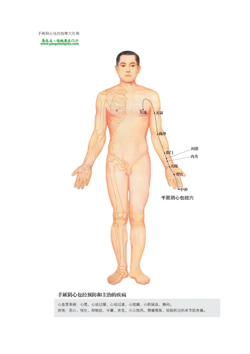 手厥阴心包经按摩穴位图