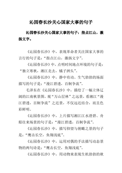 沁园春长沙关心国家大事的句子