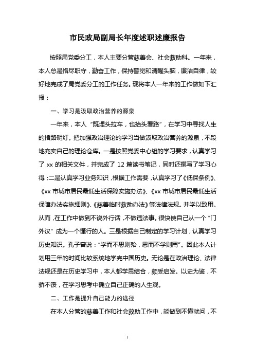 xx市民政局副局长年度述职述廉报告
