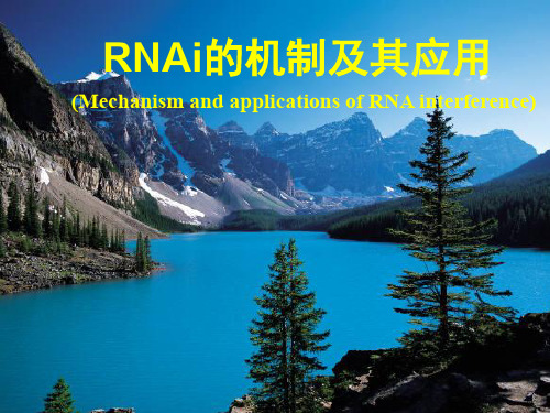 分子生物学RNA干扰(RNAi)