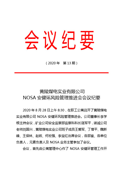 会议纪要〔2020〕13号NOSA安健环风险管理推进会会议纪要 (1)