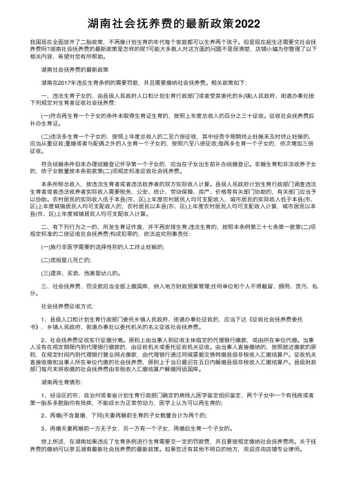 湖南社会抚养费的最新政策2022