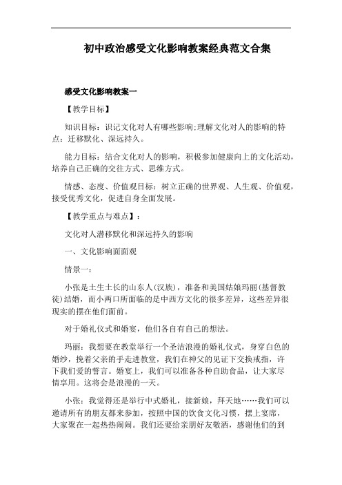 初中政治感受文化影响教案经典范文合集