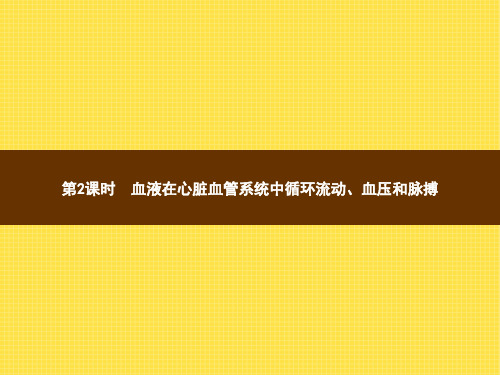 20152016学年七年级下生物北师大版ppt课件922_血液在心脏血管系统中循环流动血压和脉搏_1