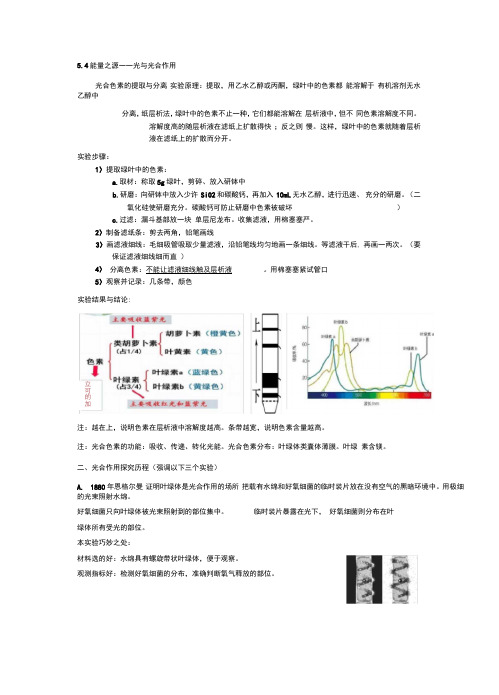 初中生物《光合作用》知识点笔记