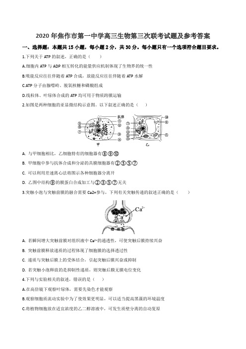 2020年焦作市第一中学高三生物第三次联考试题及参考答案