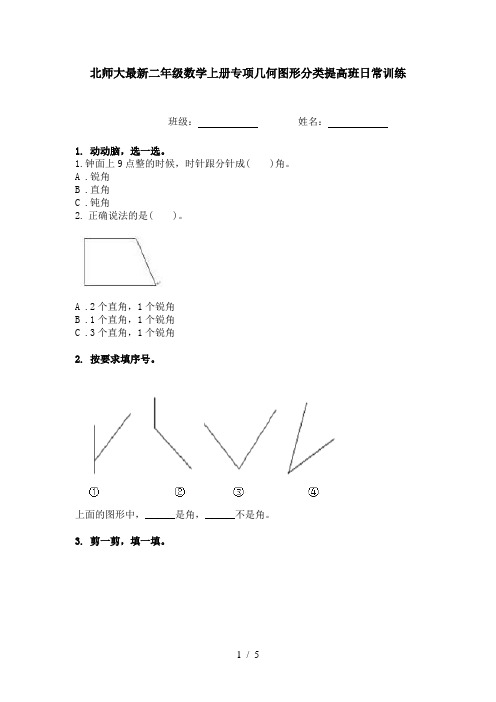 北师大最新二年级数学上册专项几何图形分类提高班日常训练