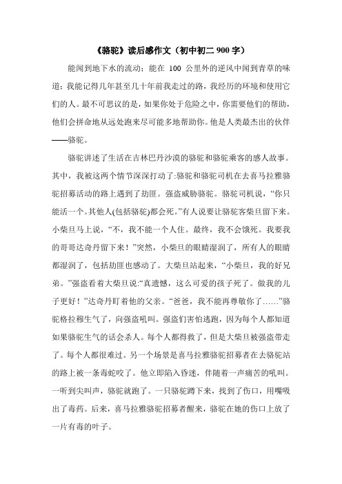《骆驼》读后感作文(初中初二900字).doc