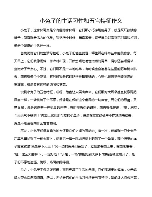 小兔子的生话习性和五官特征作文