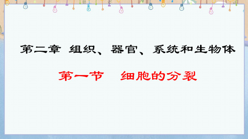 新冀少版生物7年级上册课件 第2章 组织、器官、系统和生物体 1.2.1 细胞的分裂