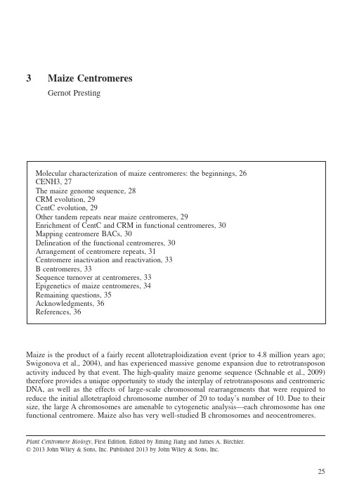 3 Maize Centromere玉米着丝粒