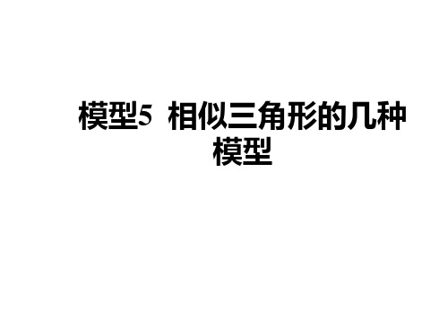 中考数学相似三角形的几种模型