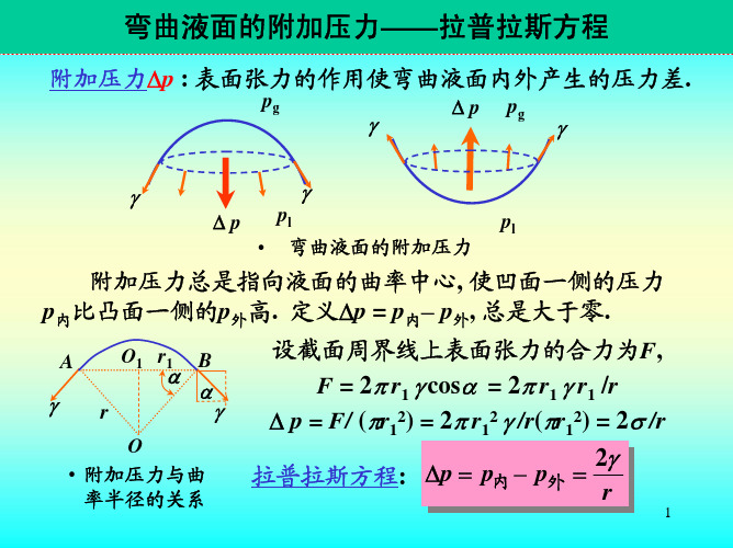 弯曲液面的附加压力拉普拉斯方程（ＰＤＦ）