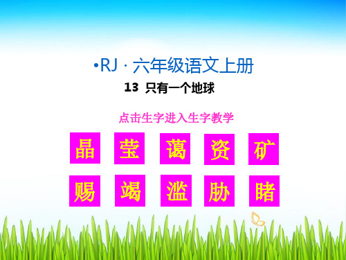 (生字教学课件) 只有一个地球   教学课件 衡中内部资料