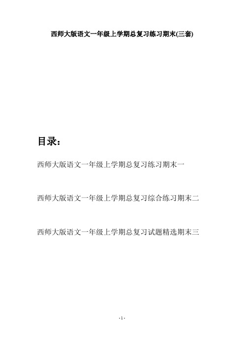 西师大版语文一年级上学期总复习练习期末(三套)