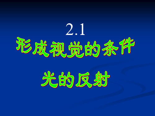 形成视觉的条件——光的反射