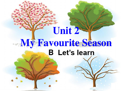 My favourite season Section B Let's learn