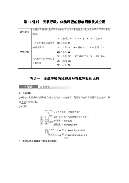 第三单元 第14课时 无氧呼吸、细胞呼吸的影响因素及其应用-2025年高考生物大一轮复习资料