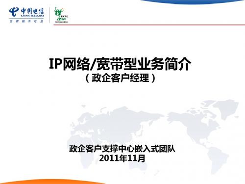 IP网络、宽带型业务简介