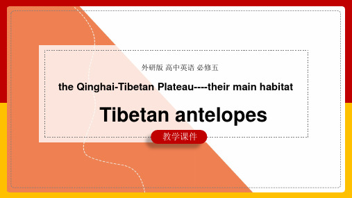 高中英语外研版必修五《the Qinghai-Tibetan Plateau-their main 