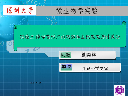 酵母菌形态的观察和显微镜直接计数法_OK