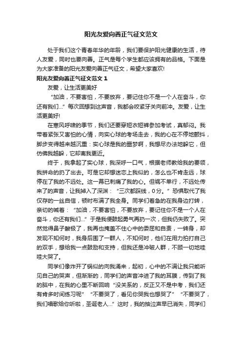 阳光友爱向善正气征文范文