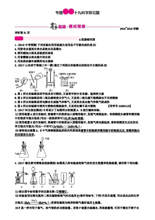 中考化学二轮复习专题突破训练：专题十九科学探究题