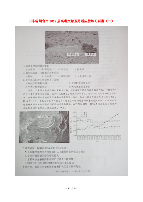 山东省烟台市2019届高考文综五月适应性练习试题二