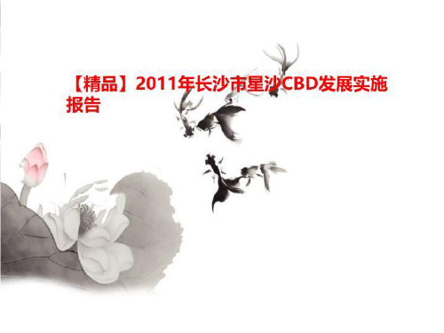 【精品】2011年长沙市星沙CBD发展实施报告