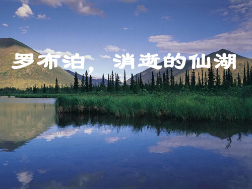 罗布泊消逝的仙湖公开课PPT课件