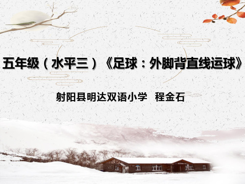 沪少课标版五年级体育与健康《1、足球》(一等奖课件) (1)