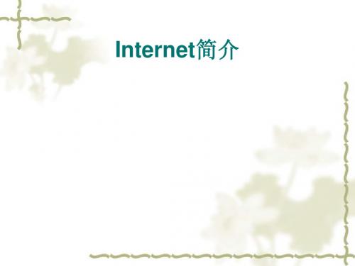 Internet简介