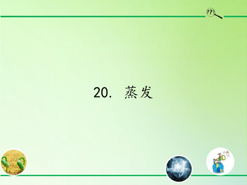 五年级科学上册课件-20. 蒸发-青岛版(共15张PPT)