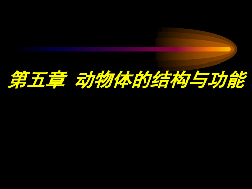 普通生物学-5 动物体的结构与功能 组织