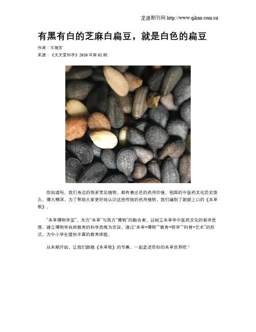 有黑有白的芝麻白扁豆,就是白色的扁豆