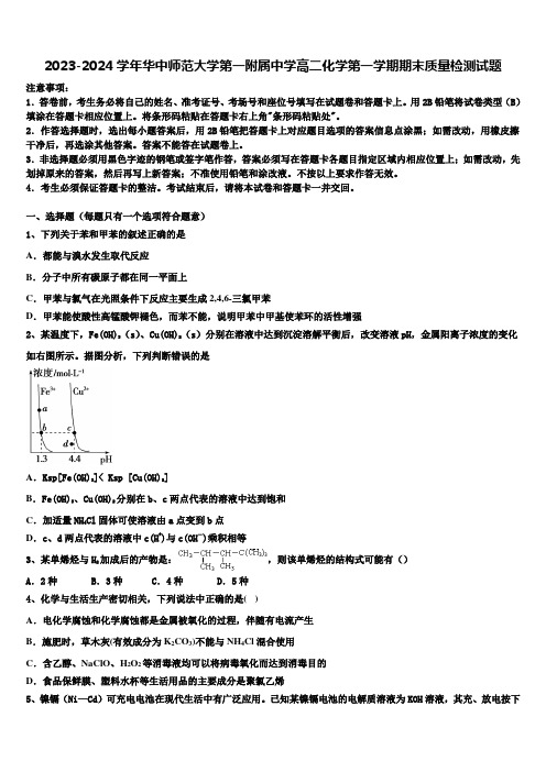 2023-2024学年华中师范大学第一附属中学高二化学第一学期期末质量检测试题含解析