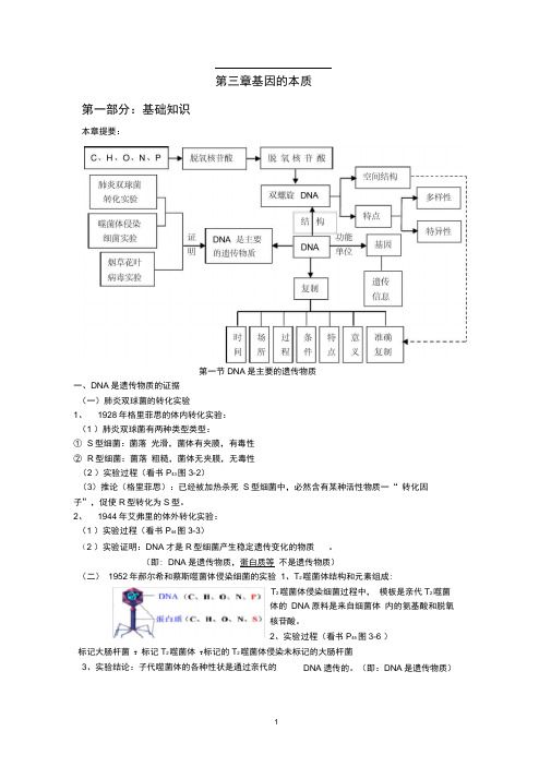 高中生物必修二第三章基因的本质知识点提纲总结说课讲解