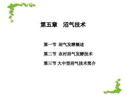 生物质能源与材料---第五章-沼气