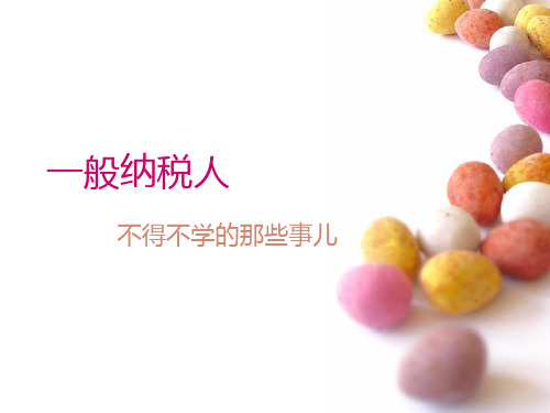 一般纳税人学习PPT课件