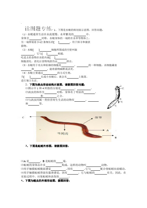 八年级生物 识图题复习