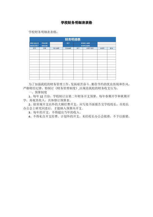 学校财务明细表表格