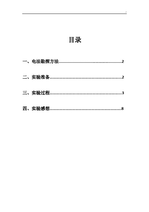 (联合剖面)电法勘探报告