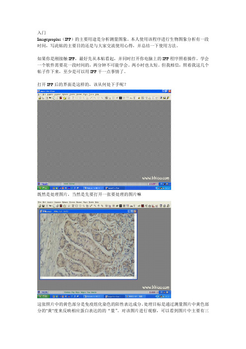 手把手教你使用IPP