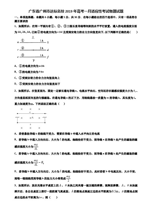 广东省广州市达标名校2019年高考一月适应性考试物理试题含解析