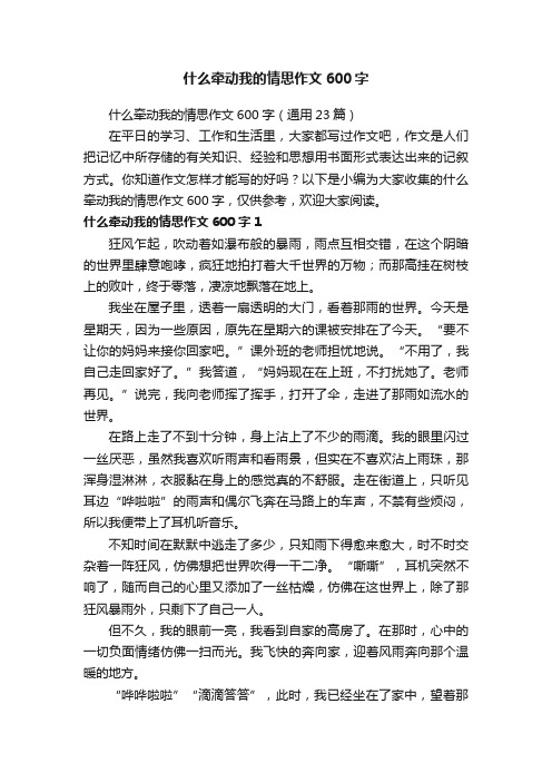 什么牵动我的情思作文600字